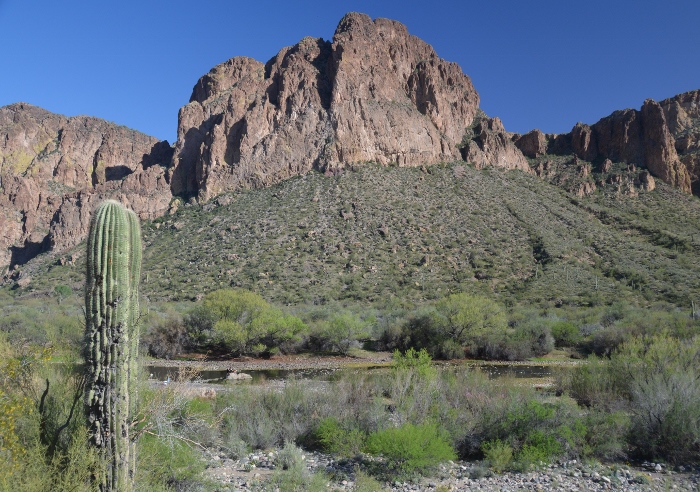Salt River